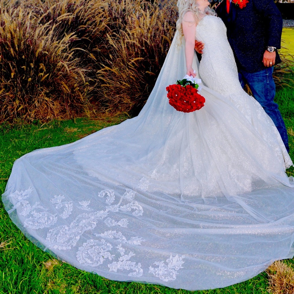Bride dress
